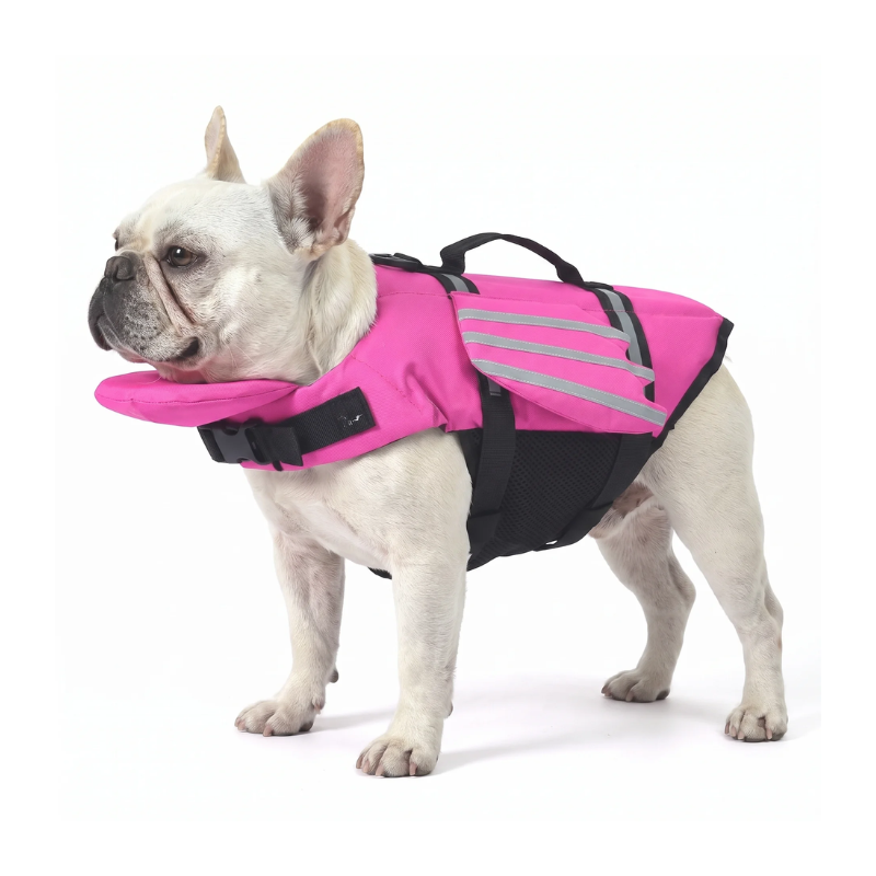Paw Swim™ Chin Float Life Jacket